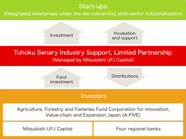 Scheme Figure