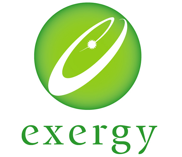 Exergy Power Systems Inc.